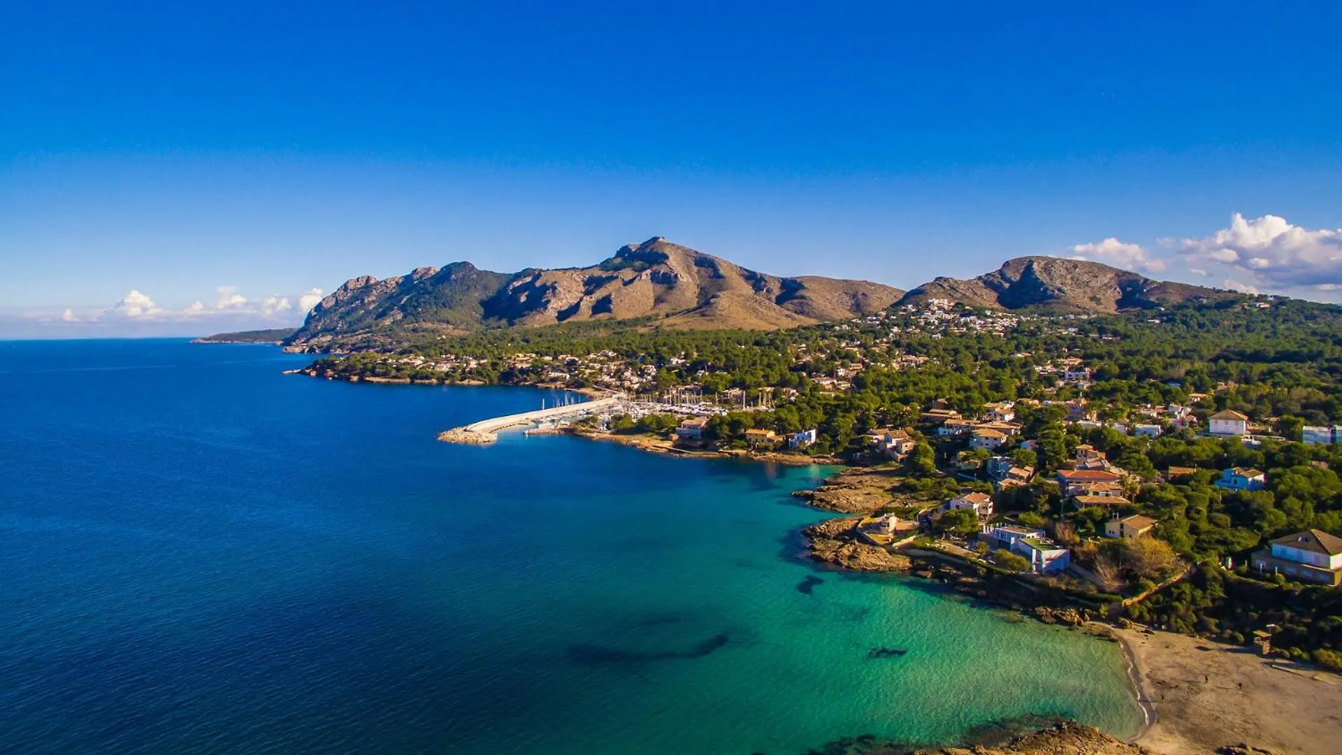 Ideal Property Mallorca - Amapola Alcanada Spain