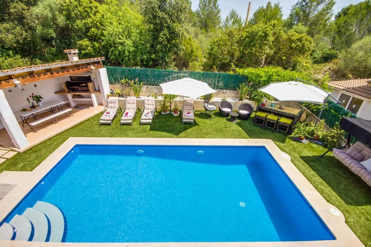 Ideal Property Mallorca - Amapola Alcanada Holiday home