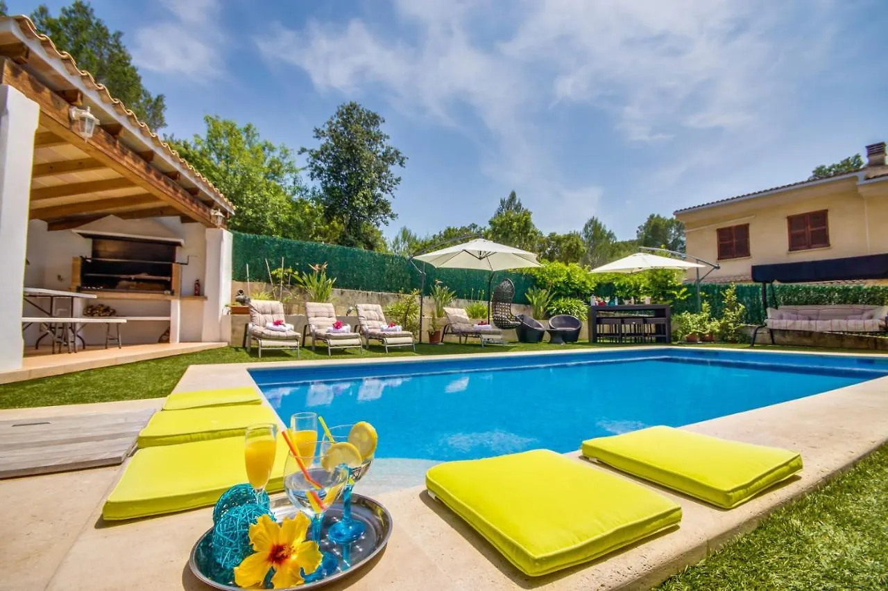 Ideal Property Mallorca - Amapola Alcanada Holiday home