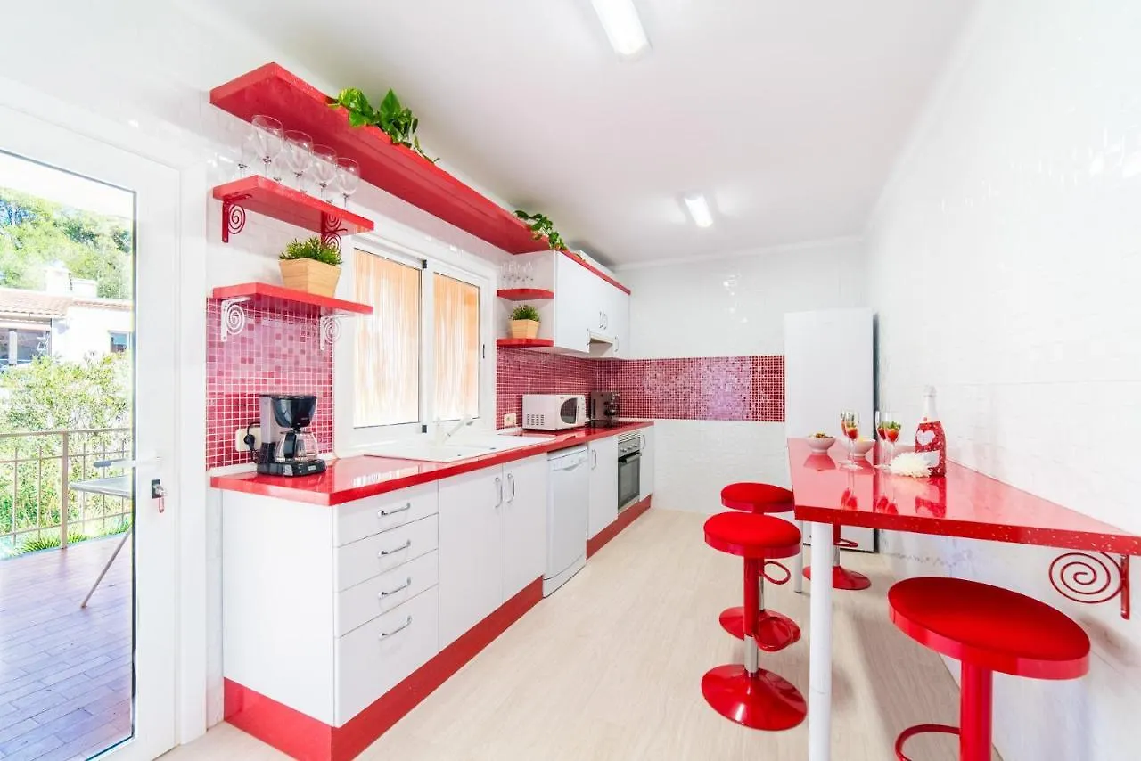 Ideal Property Mallorca - Amapola Alcanada Spain
